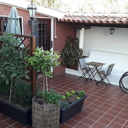 Apartamento Tranquilo En Una Casa Con Jardin La Laguna  Buitenkant foto