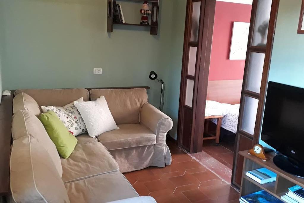 Apartamento Tranquilo En Una Casa Con Jardin La Laguna  Buitenkant foto